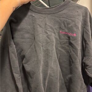 Kids Gray Sweatshirt